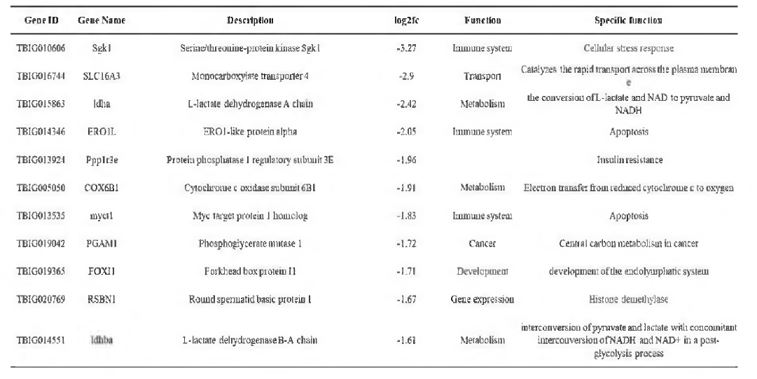 Function of top 11 down-regulated DEGs in flounder embryos exposed to HCW