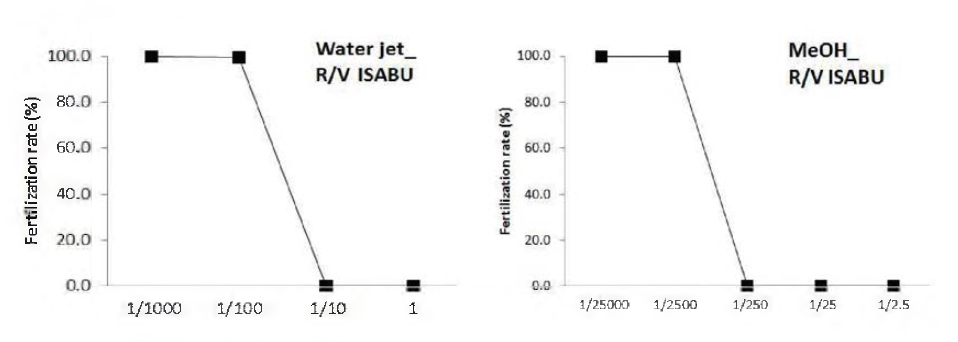 The effects of sea urchin fertilization rate on the water jet and MeOH extraction of R/V ISABU