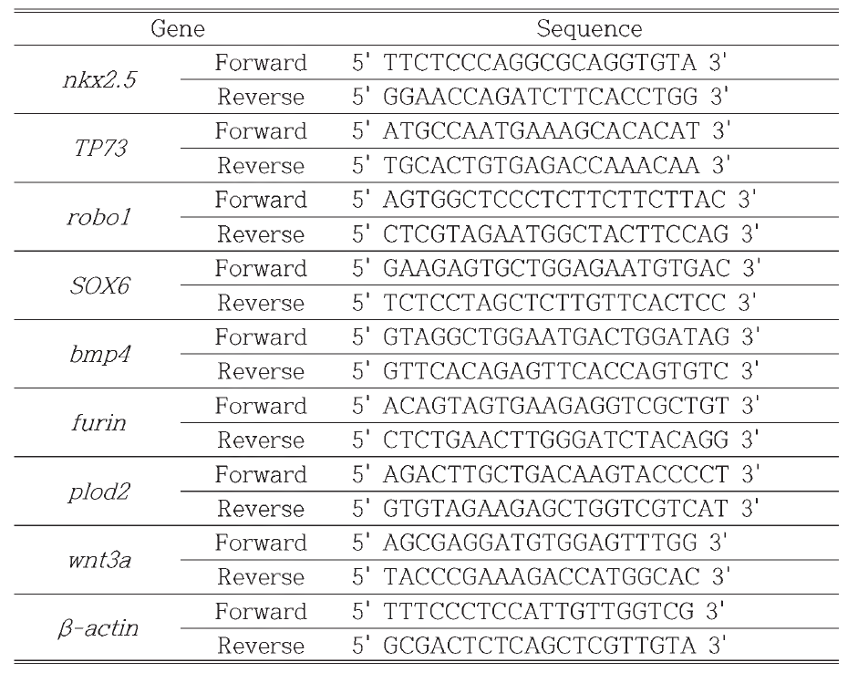 Primers used in this study for RT-qPCR