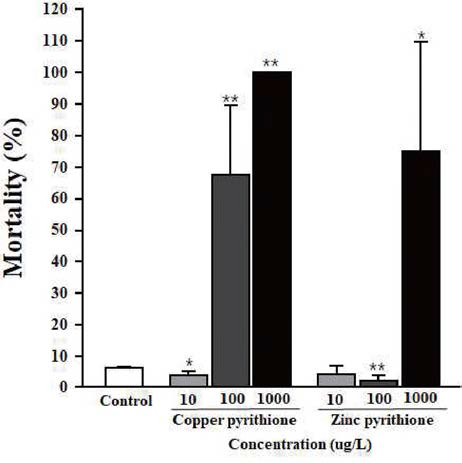 Frequency percentage of mortality in embryonic flounder exposed to Copper pyrithione and Zinc pyrithione