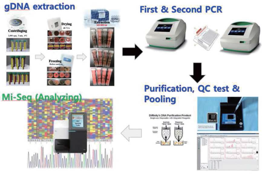 Analysis process of Next Generation Sequencing method