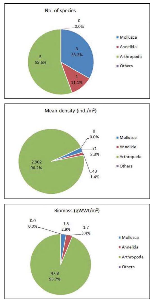 Number of species, density and biomass of fouling macrozoobenthos on the R/V ONNURI