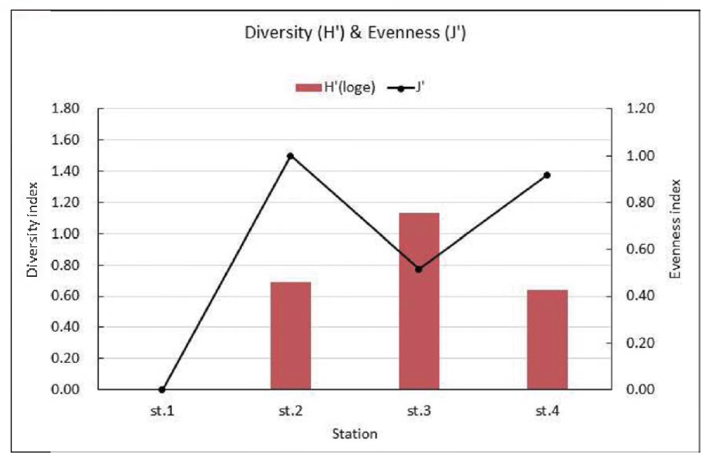 Diversity and evenness index of fouling macrozoobenthos on the R/V ONNURI