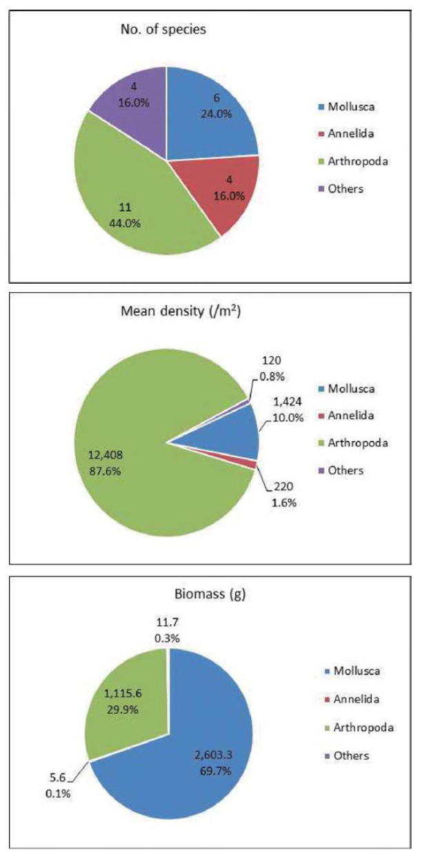 Number of species, density and biomass of fouling macrozoobenthos at sites in the R/V EARDO