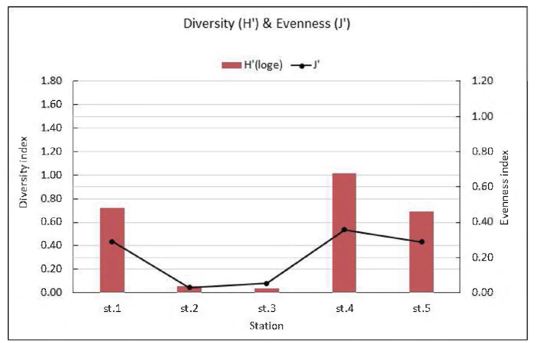 Diversity and evenness index of fouling macrozoobenthos on the R/V EARDO