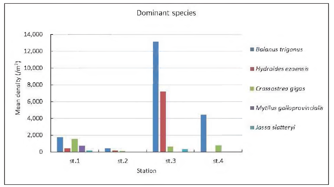 Distribution of dominant species of fouling macrozoobenthos on the R/V JANGMOK 2