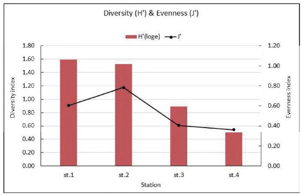 Diversity and evenness index of fouling macrozoobenthos on the R/V JANGMOK 2
