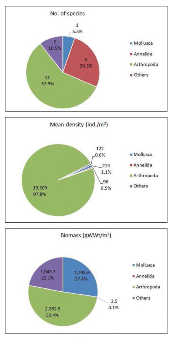 Number of species, density and biomass of fouling macrozoobenthos on the R/V JANGMOK 1