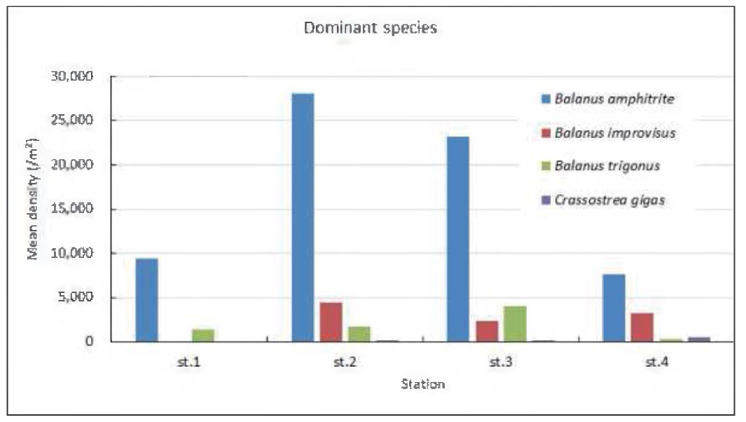 Distribution of dominant species of fouling macrozoobenthos on the R/V JANGMOK 1