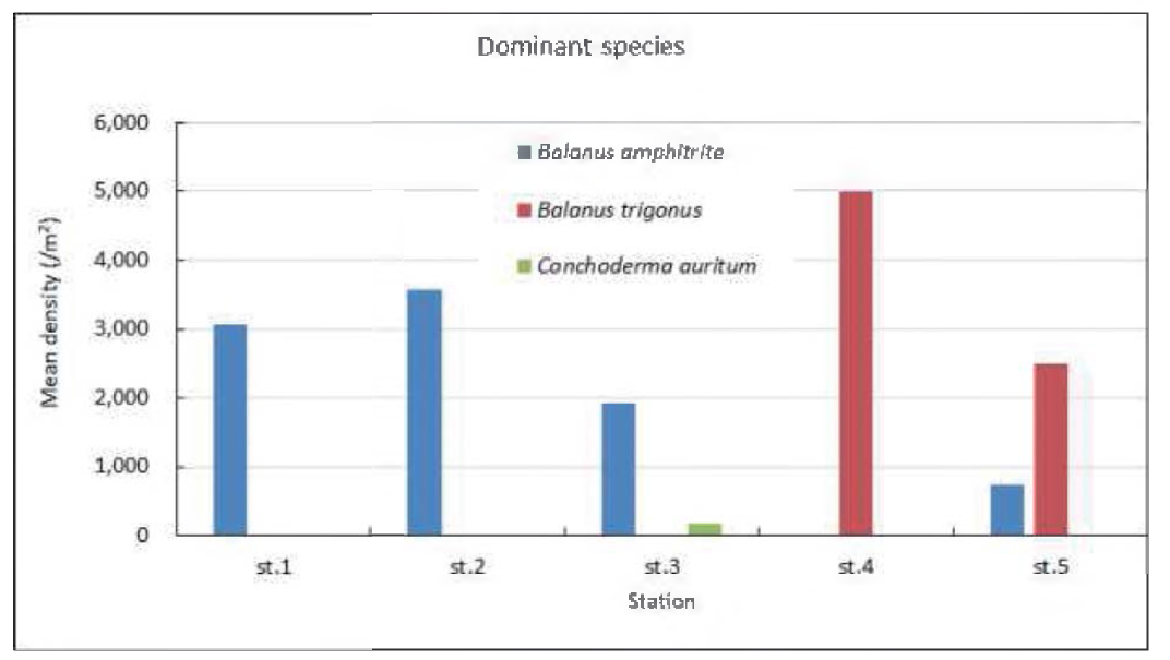 Distribution of dominant species of fouling macrozoobenthos on the R/V ISABU