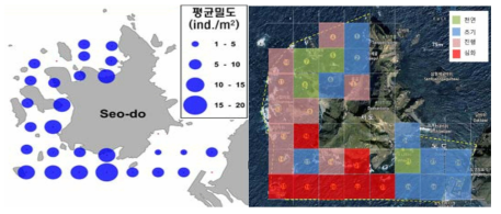 독도 연안에서 방형구(일정 테두리 내의 식물 군락 표본면적)를 이용한 직접조사를 통한 성게 평균밀도(좌) 및 갯녹음 진단 (’17, 해양환경 공단)