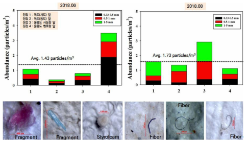 부유 미세플라스틱 크기 및 형태별 분포