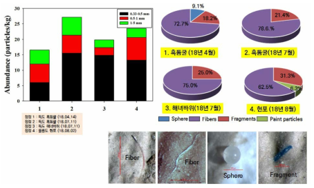 퇴적물내 미세플라스틱(0.35~5mm) 크기 및 형태별 풍도