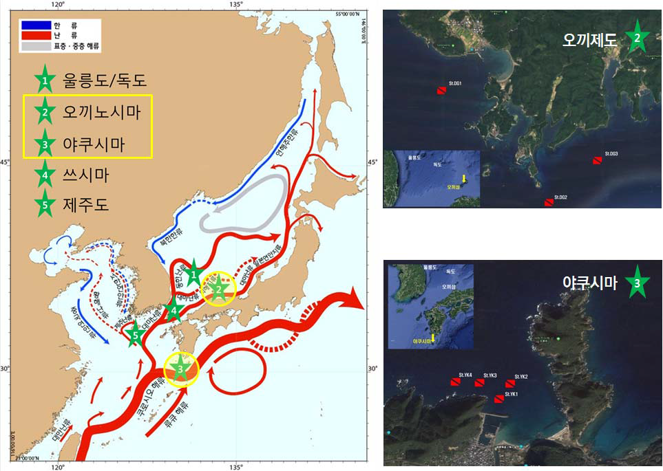 난류역 비교 및 지시종 탐색 연구 조사해역 정점
