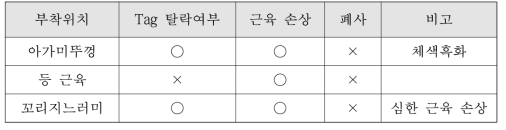 Tag 부착위치에 따른 조피볼락의 체외 변화