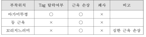 Tag 부착위치에 따른 넙치의 체외 변화