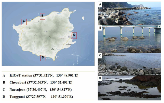 울릉도 조사지점별 해조류 채집지 전경