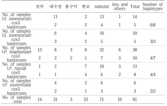 분자마커로 동정된 표본 목록