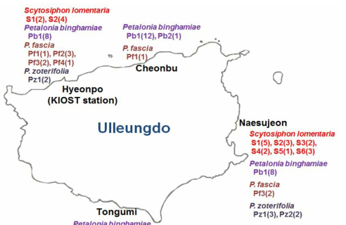 울릉도 고리매과 4종의 지점별 haplotype 분포도