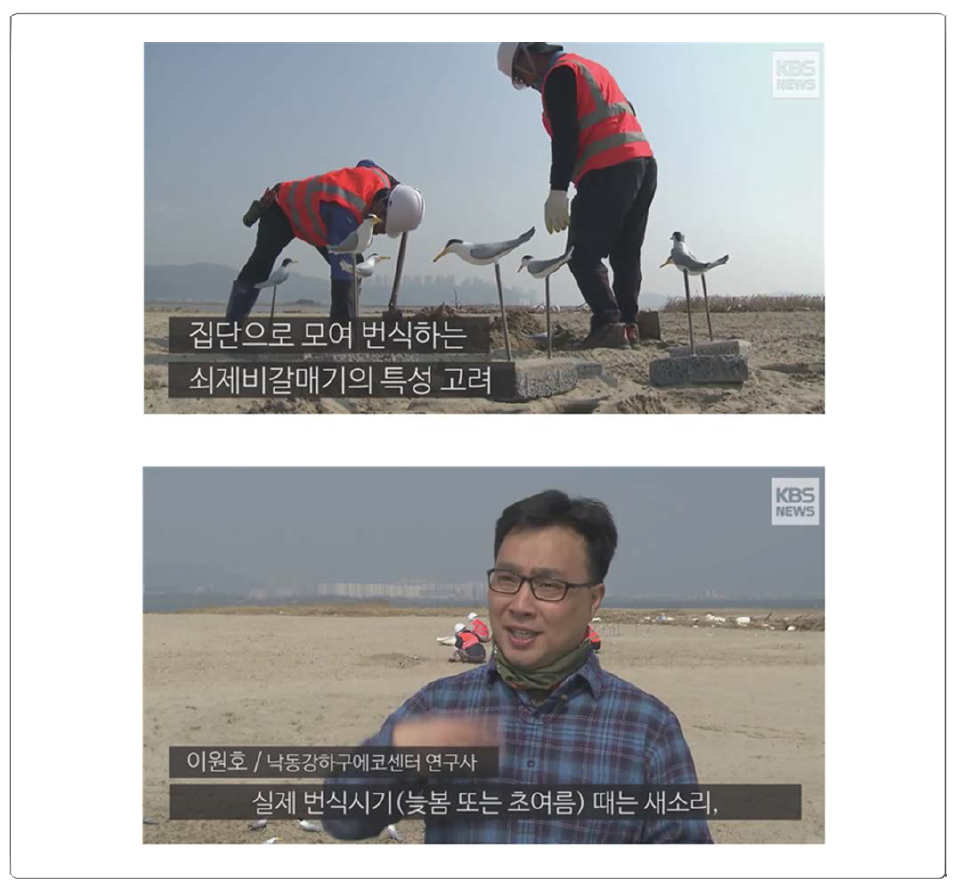 Direct use case of CCTV viewer (Nakdong Estuary Eco Center (NEEC), Yeonje-gu, Busan, Republic of Korea) (broadcast date and time: KBS9 News, October 21, 2018)