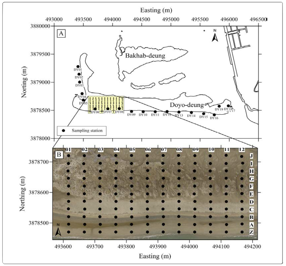 Location of surface sediment sampling stations of Doyo-deung. (A) Station along the shoreline and profile line (B) Sampling stations of Grain size trend analysis (GSTA)