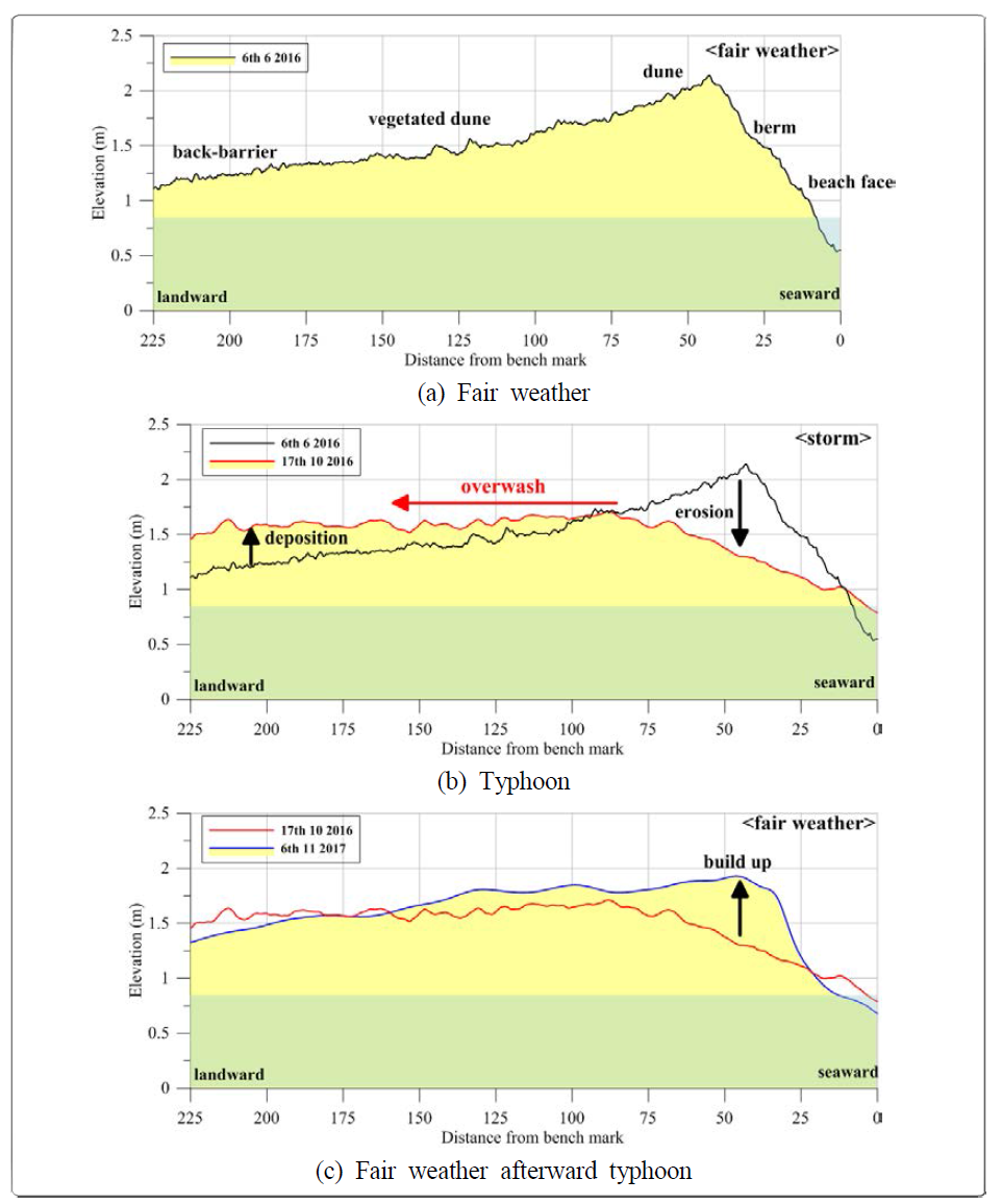 Cross-sectional profile model showing the general status during fair weather and dune growth following a storm event with an energetic wave generated by typhoon