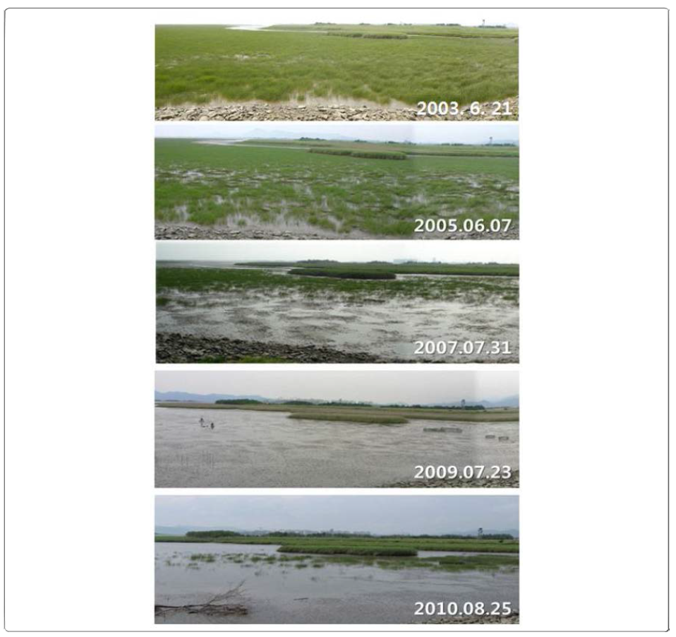 The change of Scirpus planiculmis population at the southern part of mud flat in Eulsuk island from 2003 to 2010 (Kim, 2014)