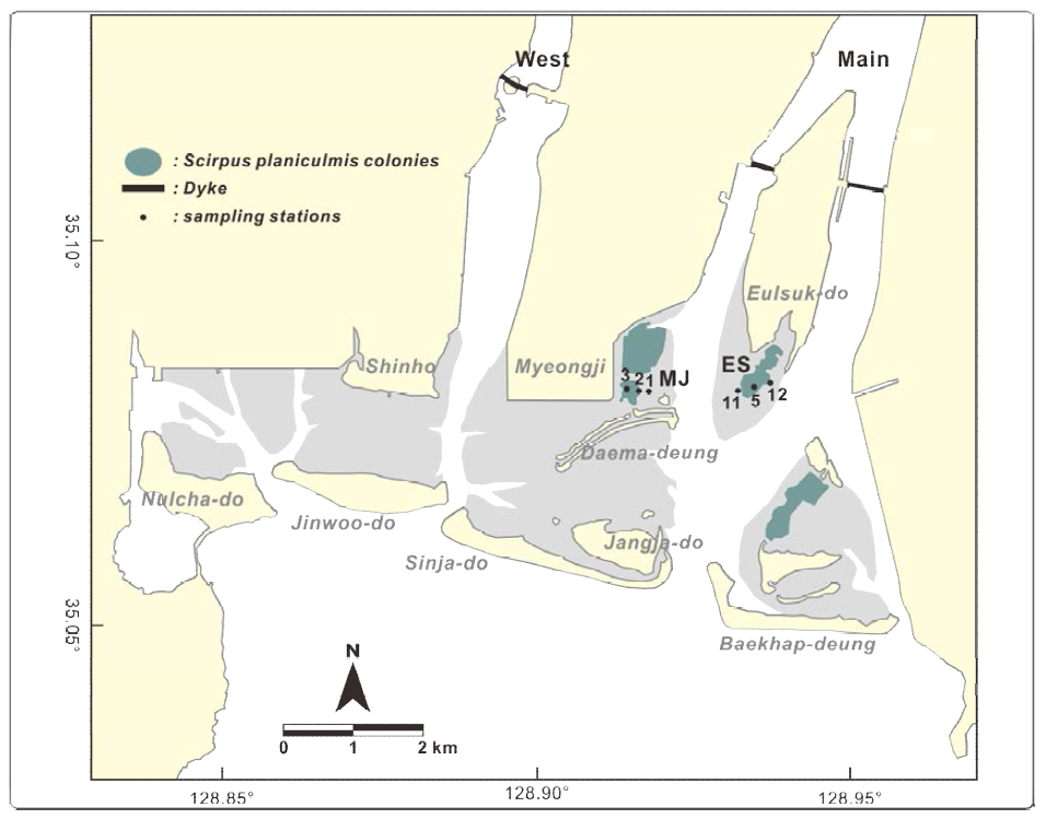 The map of Nakdong River Estuary with sampling stations