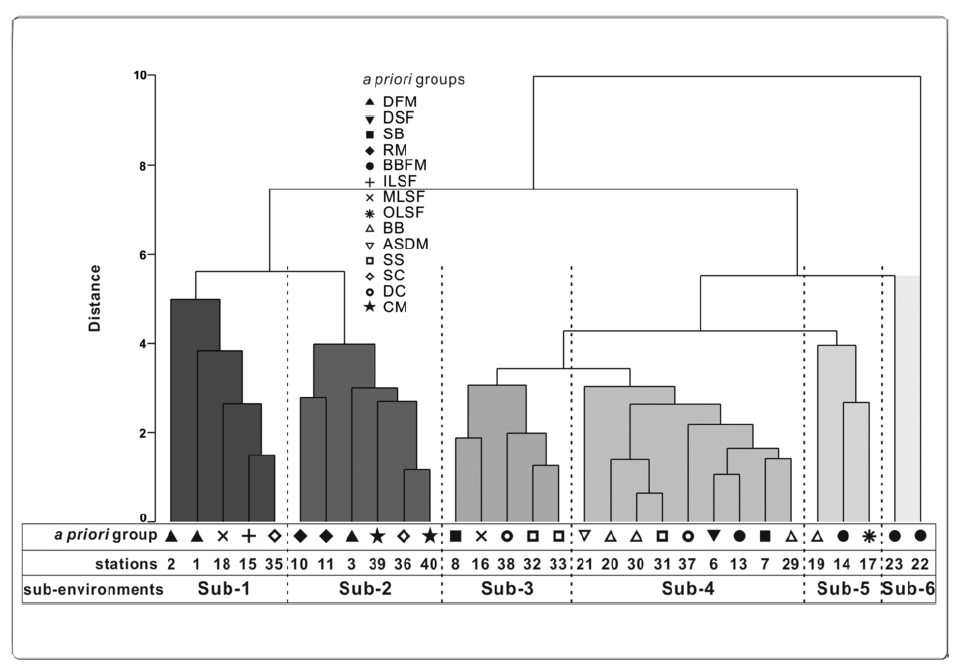 Cluster analysis dendrogram based on grain size and organic matter parameters