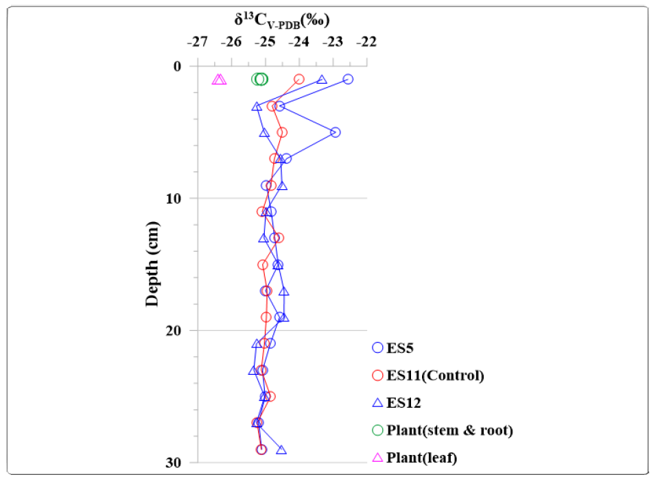 The result of δ13 value of Scirpus planiculmis and sediment cores collected at stations located in Eulsuk island in June 2018