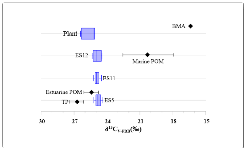 The box plot of δ13C of sediment cores and Scirpus planiculmis collected at Eulsuk island in June 2018, together with marine and estuarine particulate organic matter (POM, ◆ ) by Shin et al. (2012)