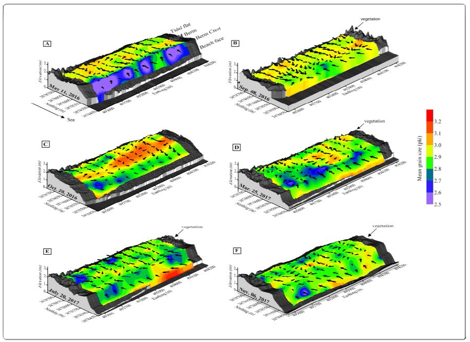 Three-dimensional topography and surface sediment distribution with grain size trend vectors of previous study