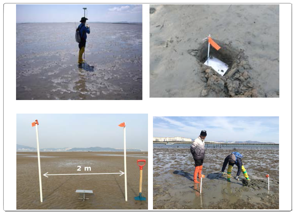 Measurement elevation by RTK-GPS (real time kinematic-global positioning system) and plate for sedimentation rate