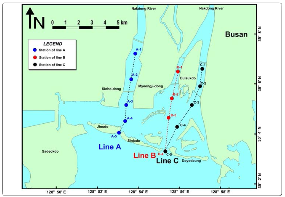 The map of brackish water zone environment during spring tide ebb and flood (n = 14, A, B, and C three lines)