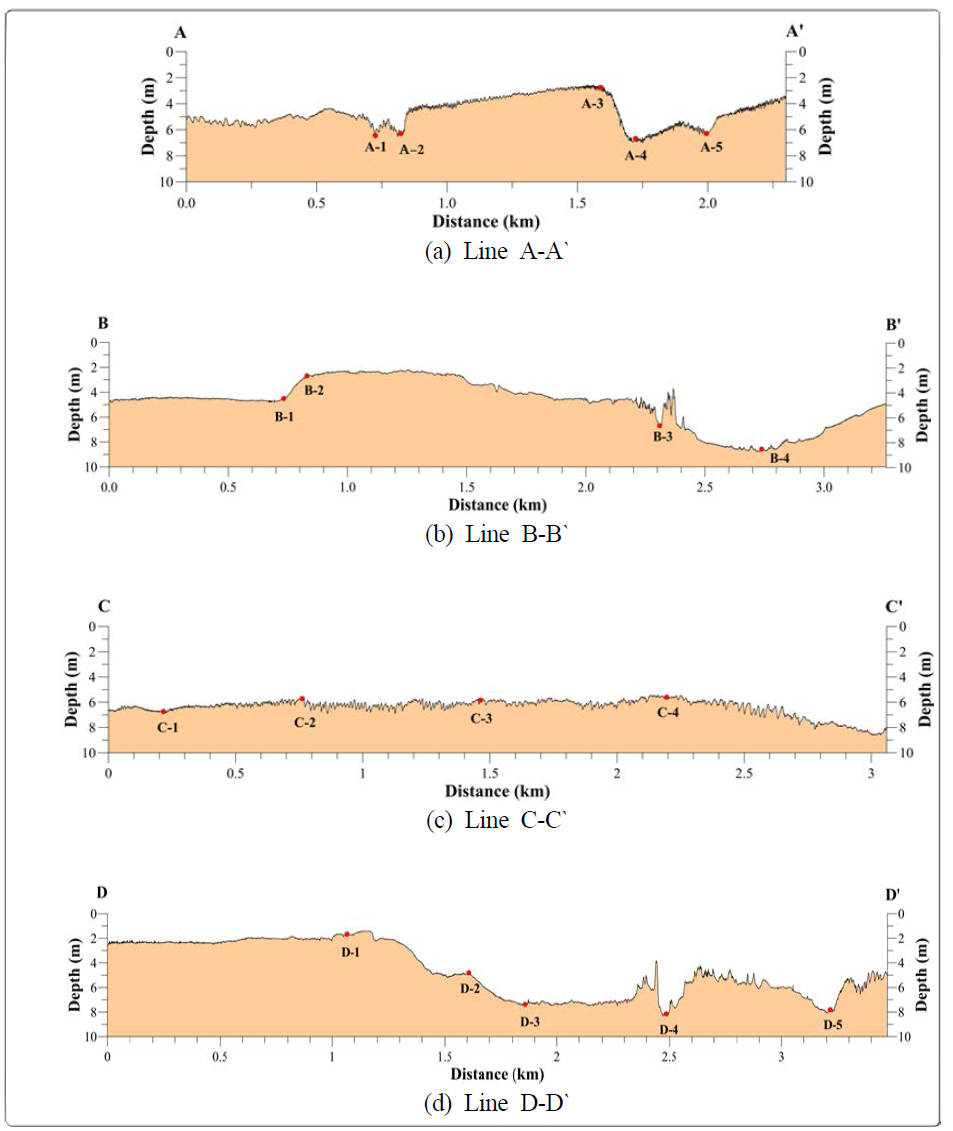 Bathymetric profiles of the main channel along the A, B, and C lines using single beam eco-sounder in the three lines (KIOSTa, 2017)