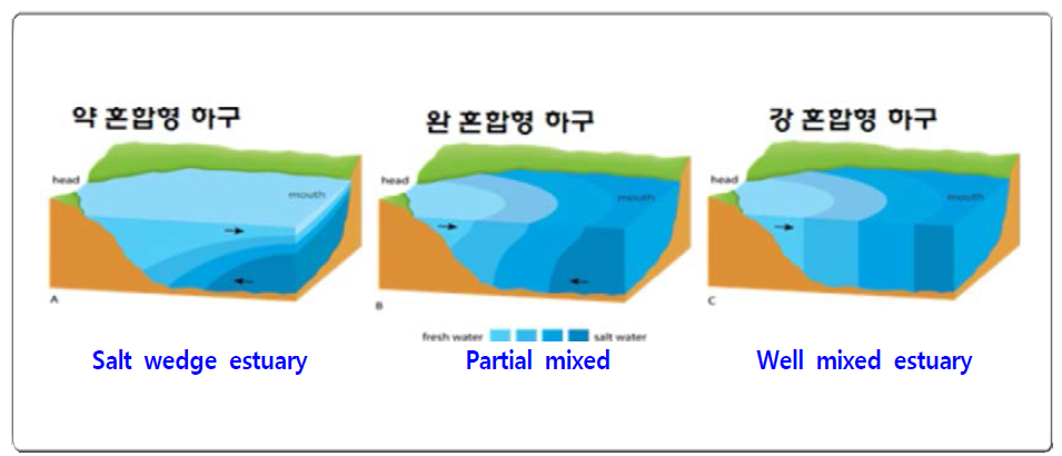 Estuary types for salt wedge estuary, patial mixed, and well mixed estuary (Guidelines on the study of seawater intrusion into rivers, UNESCO, 1991)