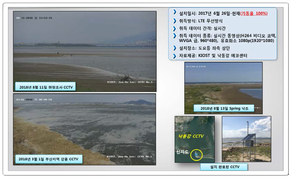 The real-time data are largely obtained from the closed-circuit television (CCTV) using 4G LTE communication at two stations on the east side of the Doyodeung barrier islands