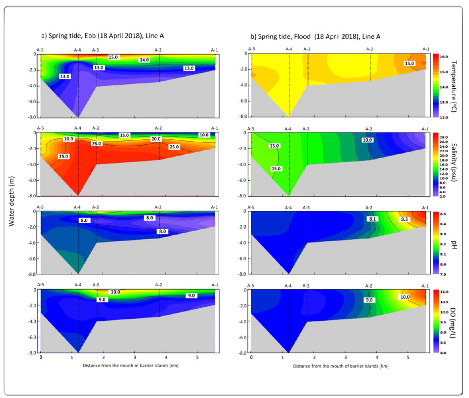 Horizontal-vertical distribution of water temperature (℃), salinity (psu), pH, and DO (mg/L) for A line during the spring (ebb, flood) tide (2018.04.18.) in the Nakdong River Estuary