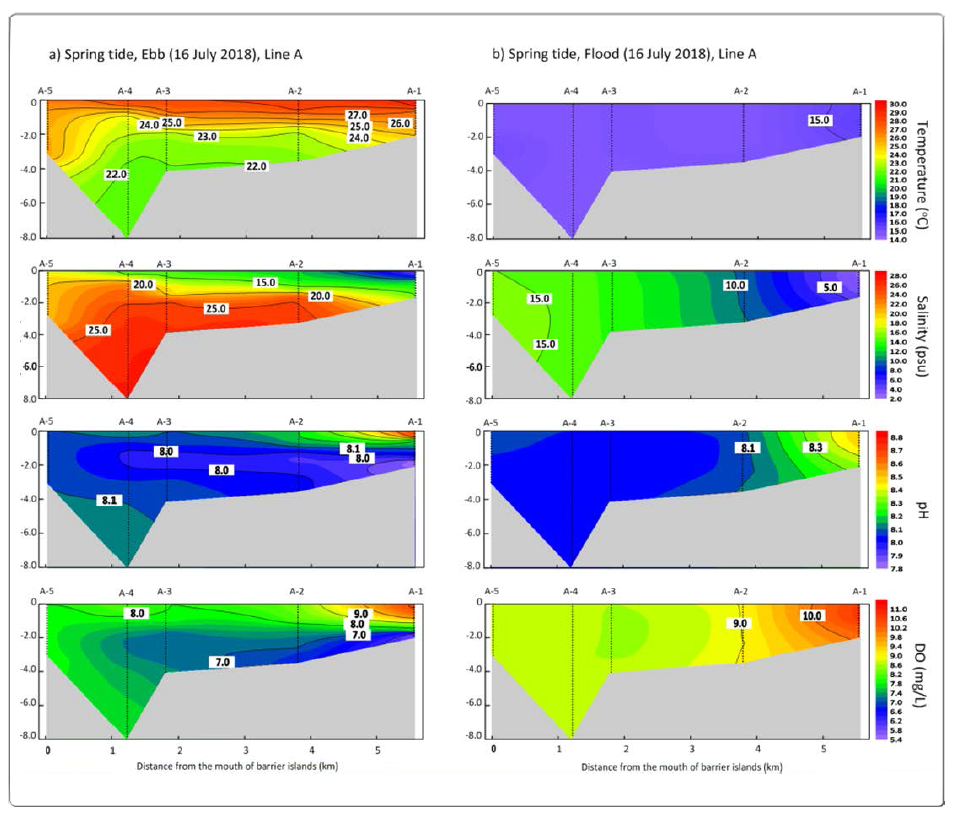 Horizontal-vertical distribution of water temperature (℃), salinity (psu), pH, and DO (mg/L) for A line during the spring (ebb, flood) tide (2018.07.16.) in the Nakdong River Estuary