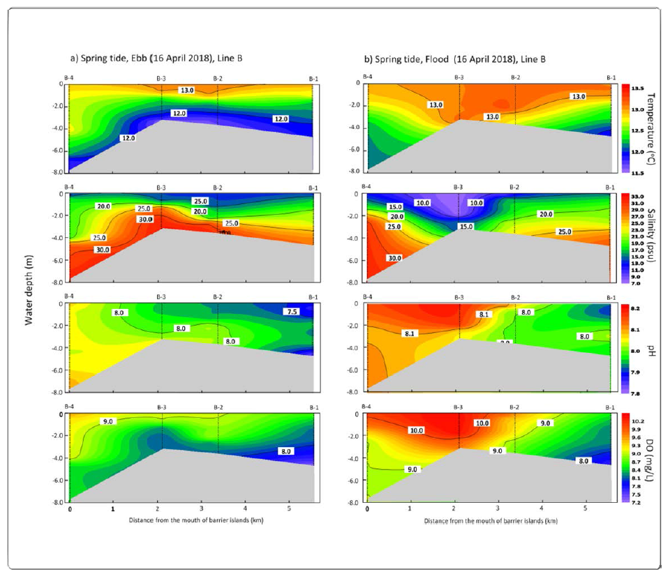 Horizontal-vertical distribution of water temperature (℃), salinity (psu), pH, and DO (mg/L) for B line during the spring (ebb, flood) tide (2018.04.18.) in the Nakdong River Estuary