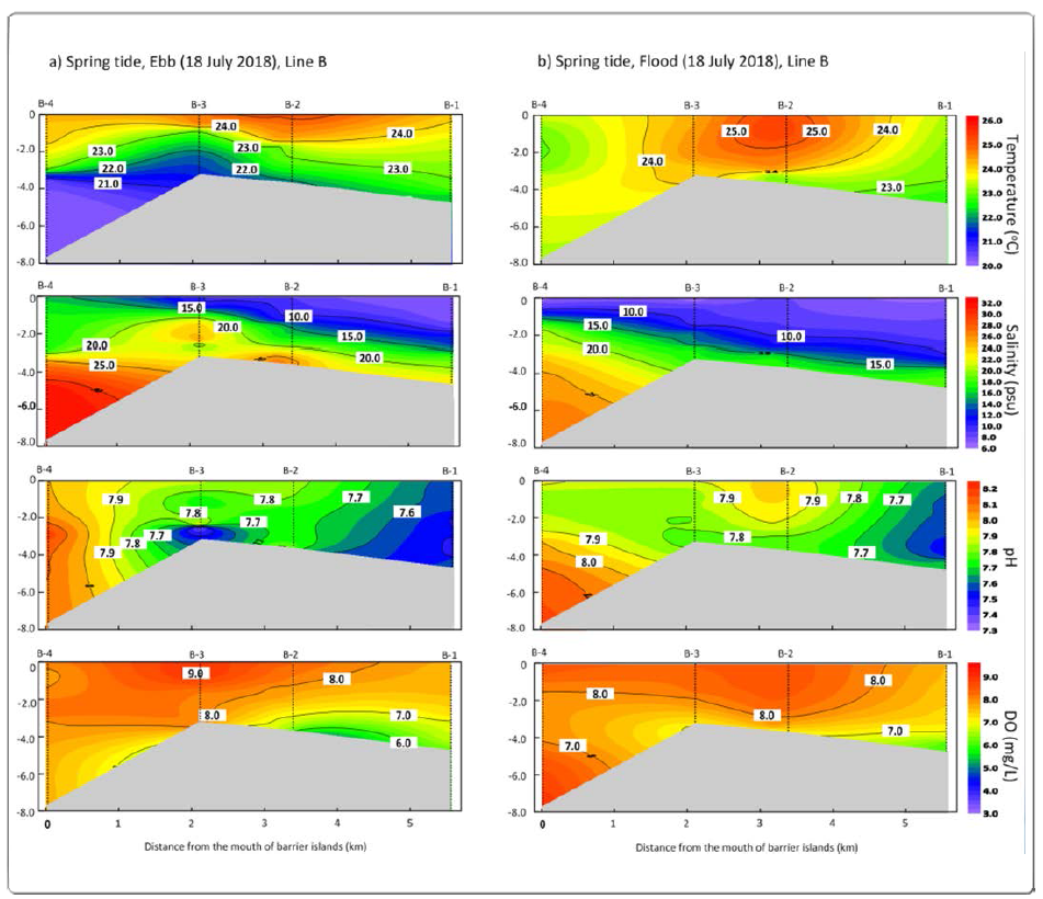 Horizontal-vertical distribution of water temperature (℃), salinity (psu), pH, and DO (mg/L) for B line during the spring (ebb, flood) tide (2018.07.16.) in the Nakdong River Estuary