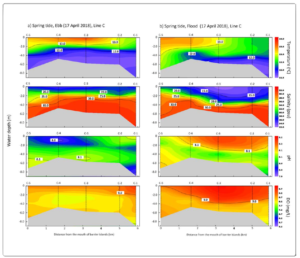 Horizontal-vertical distribution of water temperature (℃), salinity (psu), pH, and DO (mg/L) for C line during the spring (ebb, flood) tide (2018.04.18.) in the Nakdong River Estuary