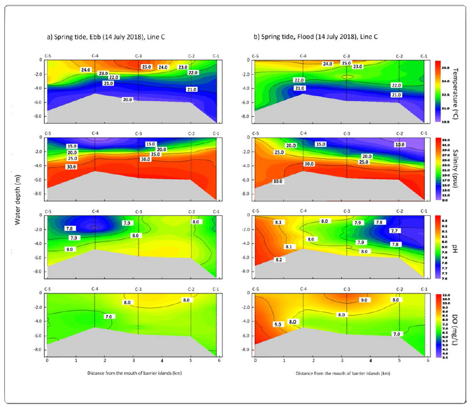 Horizontal-vertical distribution of water temperature (℃), salinity (psu), pH, and DO (mg/L) for C line during the spring (ebb, flood) tide (2018.07.16.) in the Nakdong River Estuary