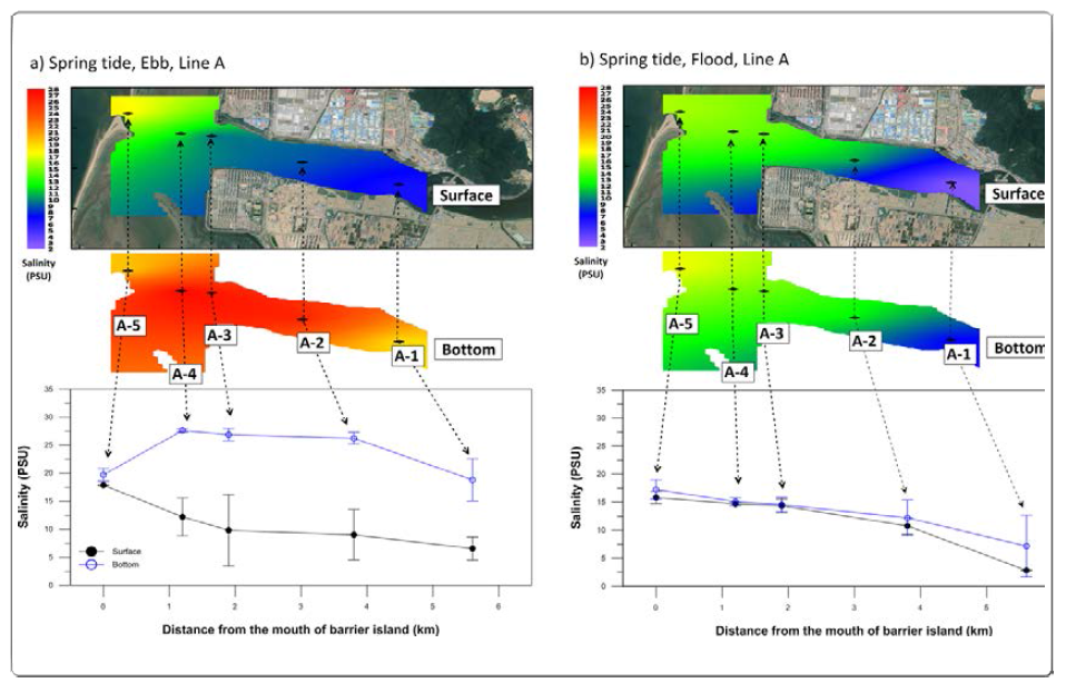 Horizontal and surface/bottom salinity distribution for A line (2018.04.18. and 2018.07.16., Spring tide (ebb, flood))