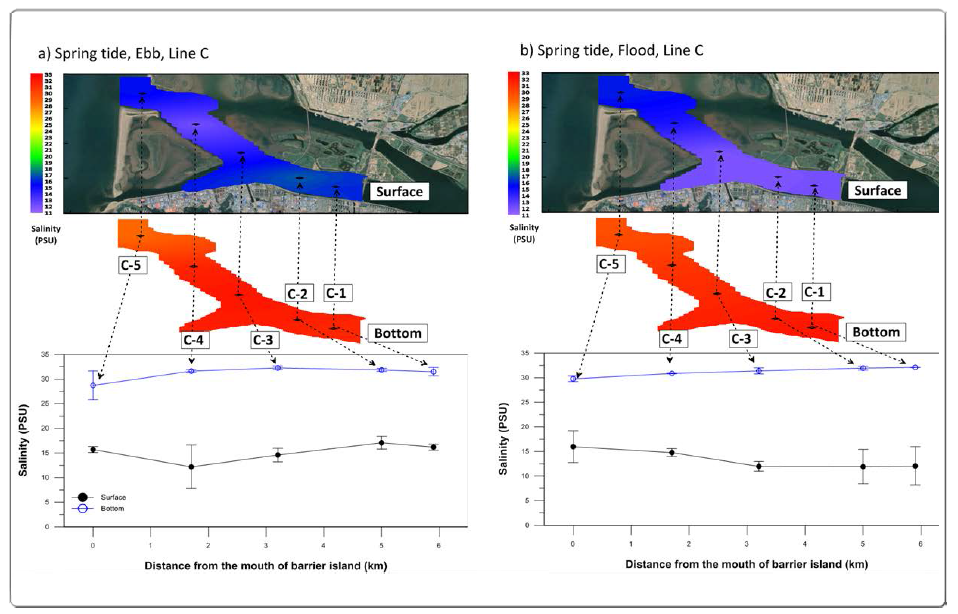 Horizontal and surface/bottom salinity distribution for C line (2018.04.18. and 2018.07.16., Spring tide (ebb, flood))