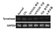 멜라노마 세포(B16F10세포)에서 DMZ 자생식물의 미백효능 평가