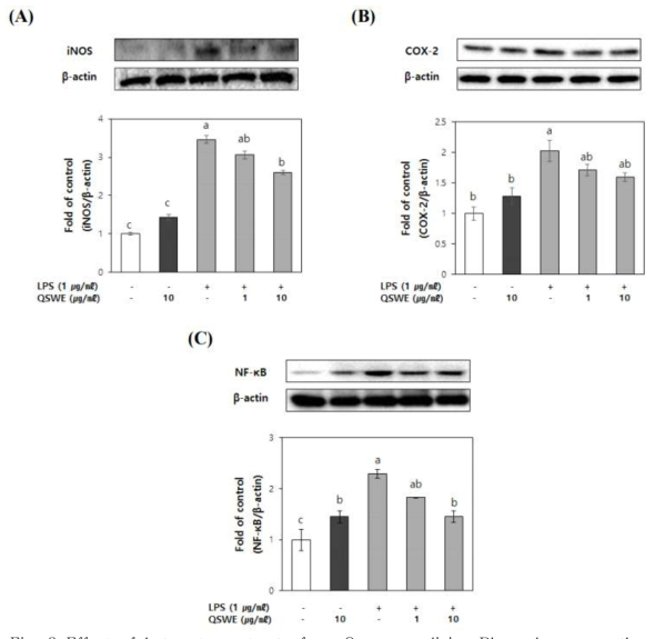 Effect of hot water extracts from Quercus salicina Blume leaves on the expression