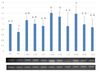 추출물 레벨에서의 filaggrin mRNA의 상대적 발현