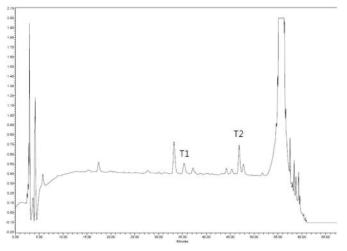 조합추출물 중 tellimagrandin I의 HPLC chromatogram