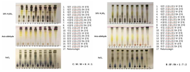 신갈나무의 원료표준화 - TLC pattern